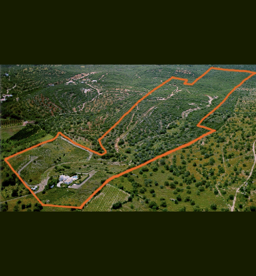 Les Jardins_Notre Mission copy